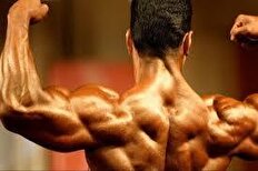 مهندسی به بدنسازی و پرورش اندام رسید/ نایب رئیس و دبیر جدید فدراسیون مشخص شدند