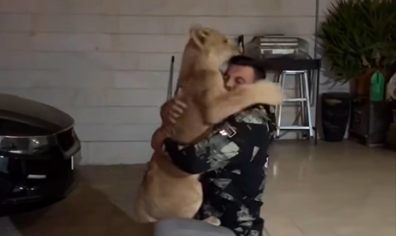 جای شیر در باغوحش است آقای قهرمان!/ بیتوجهی اکبری به منتقدان! جای شیر در باغوحش است آقای قهرمان!/ بیتوجهی اکبری به منتقدان!