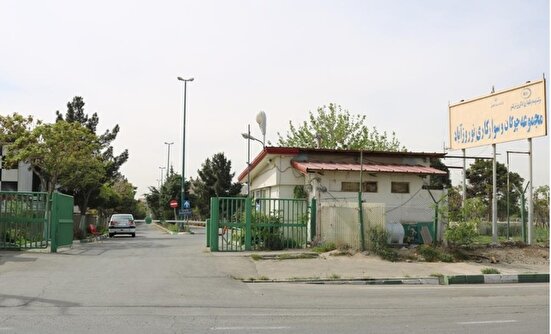 از برگزاری مزایده در سکوت تا خروج شبانه و مخفیانه درختان قتل عام شده