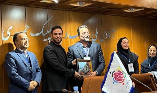 صدقی: الگوی ملی توسعه هاکی روی یخ طراحی شده است