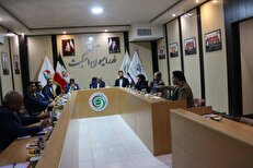 هنرجو: رویکرد فدراسیون توجه بیشتر به رشته المپیکی اسکیت بُرد است
