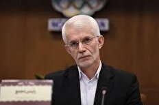 اسبقیان: انتخاب سرپرست برای تمامی فدراسیون ها نیست/ هیچکدام از انتخابات به تعویق نخواهد افتاد