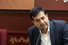 دنیامالی: خزانه‌دار باید مستقل باشد / همه بحث‌های ما برای پیشگیری است