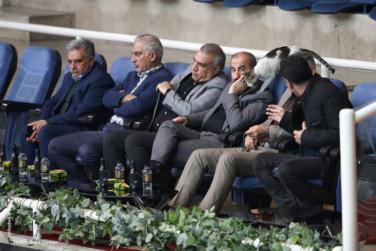 عکس| یک میهمان خاص و عجیب در جام حذفی والیبال