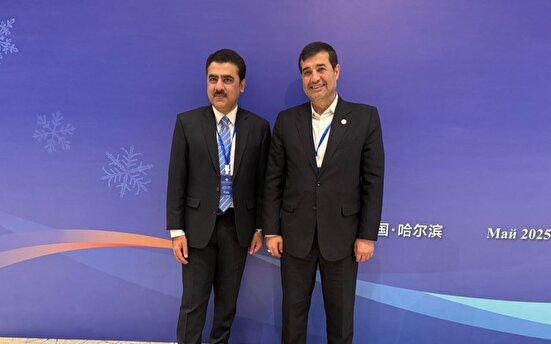 دنیامالی با همتای پاکستانی خود دیدار کرد