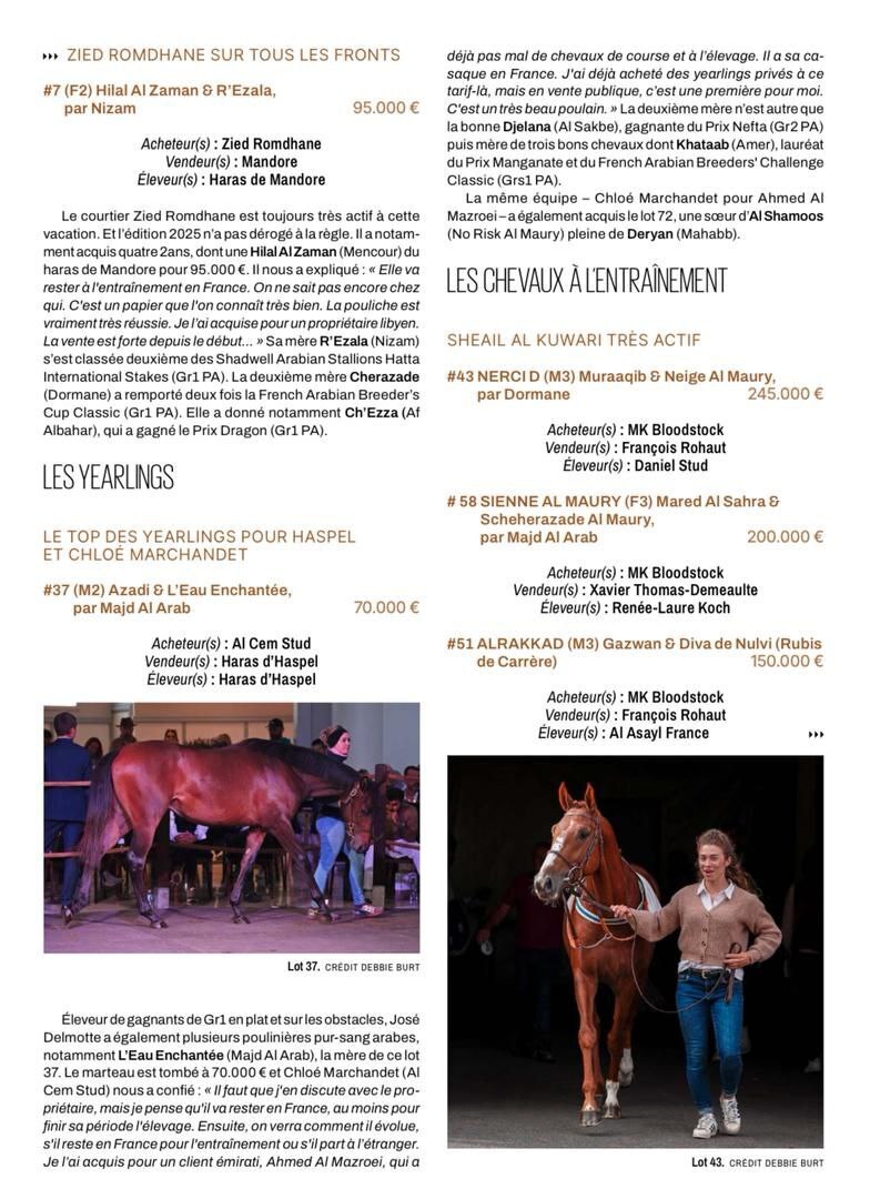 گرانترین خرید حراج ارکانا، تولید ایرانی‌ها