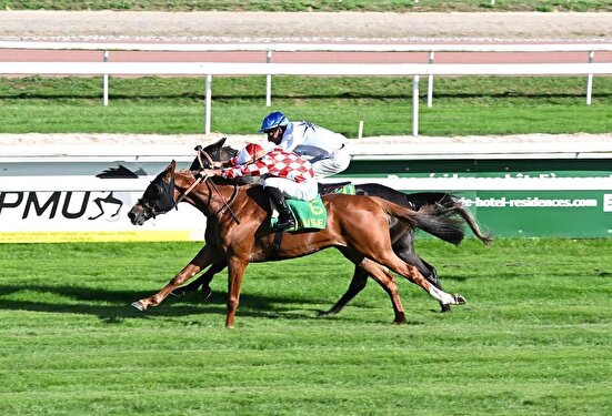 گرانترین خرید حراج ارکانا، تولید ایرانی‌ها