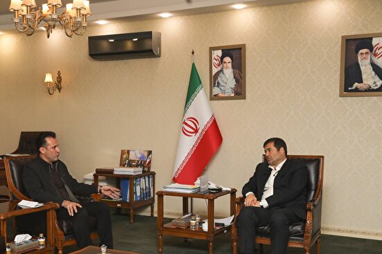 حمایت دنیامالی از برنامه‌های توسعه‌ای فدراسیون جودو/ تاکید بر افزایش تعاملات بین‌المللی