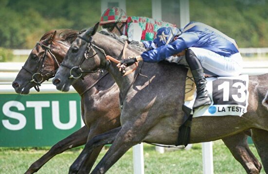 2 اسب از ایران شانس قهرمانی کورس معتبر فرانسه