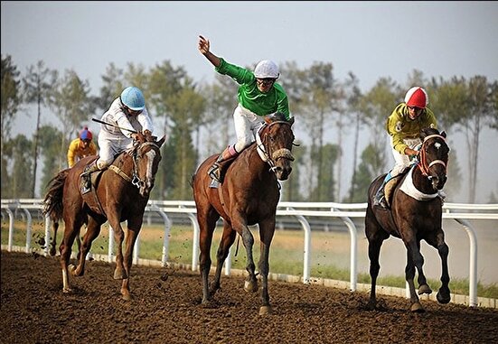 فدراسیون سوارکاری، بلاتکلیف‌تر از همیشه؛ سرپرستی بدون حکم رسمی!