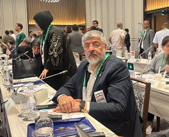 حضور پولادگر در سمینار سرپرستان بازی‌های پاراآسیایی ناگویا