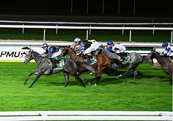 شب تاریخی اسب دوانی ایران در فرانسه/پیست تولوز در تصرف تی اس وسیما و نرسی د!