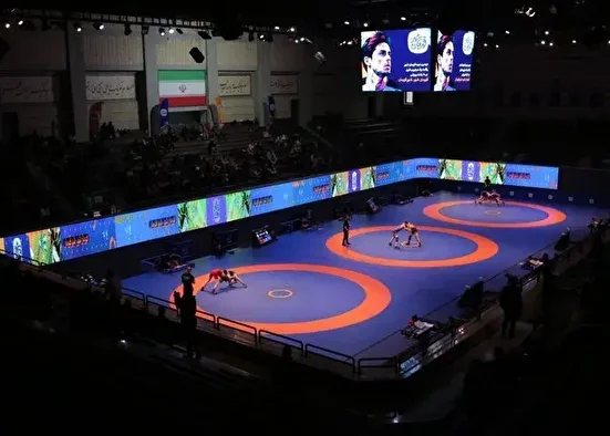 لالوویچ: ایران سنگ بنای کشتی جهان است