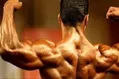 مهندسی به بدنسازی و پرورش اندام رسید/ نایب رئیس و دبیر جدید فدراسیون مشخص شدند
