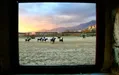 بازی اصیل ایرانی در پایتخت عربستان/ مقدماتی جام جهانی چوگان به میزبانی ریاض