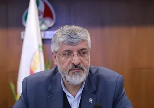 درخواست خانواده تکواندو از پولادگر برای حضور در انتخابات
