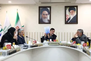 برنامه‌ریزی کمیته ملی پارالمپیک برای حضور ایران در بازی‌های پاراآسیایی ناگویا