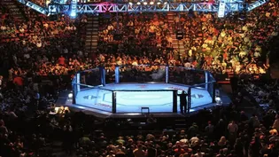 مسابقات قهرمانی آسیایی جوانان MMA لغو شد؛ اولویت، حفظ جان ورزشکاران