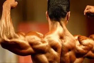 مهندسی به بدنسازی و پرورش اندام رسید/ نایب رئیس و دبیر جدید فدراسیون مشخص شدند