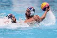 رونمایی از نامزدهای ریاست فدراسیون ورزش‌های آبی