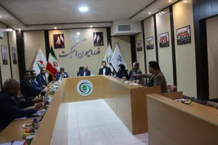 هنرجو: رویکرد فدراسیون توجه بیشتر به رشته المپیکی اسکیت بُرد است