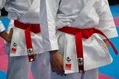 ایران با ۸ کاراته‌کا به ناگویا می‌رود