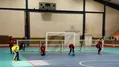 تهران و فارس بر سکوی قهرمانی گلبال زنان