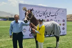 اسنوا بر سکوی قهرمانی جام لاله چوگان