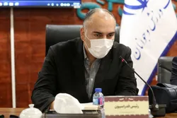 رضوانی: هدف‌گذاری شنا و شیرجه برای کسب سهمیه مستقیم المپیک لس‌آنجلس است