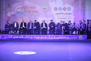 دنیامالی: ووشو باید المپیکی شود/ روی مدال‌های ووشوکاران در بازی‌های آسیایی حساب باز کرده‌ایم