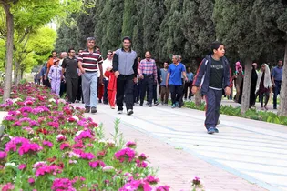 اوج فعالیت فدراسیون همگانی با بودجه کلان دولتی؛ پیاده‌روی کنید!