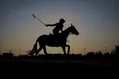 قصرفیروزه و کانون چوگان البرز فینالیست شدند