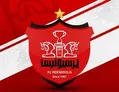 سرمربی جدید پرسپولیس معرفی شد