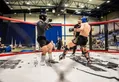 مجوز فعالیت هنرهای رزمی ترکیبی (MMA) در ایران صادر شد