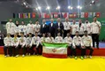 نایب‌قهرمانی کاروان ووشو ایران در مسابقات قهرمانی جهان؛ کسب ۱۰ مدال رنگارنگ توسط مبارزان پارسی