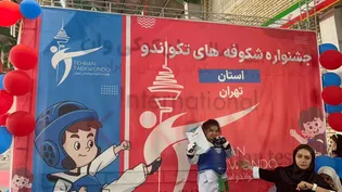 جشنواره ۱۲۰۰ شکوفه تکواندو پایتخت؛ افشارپور طلایی شد