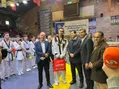 خداحافظی کاپیتان تیم ملی تکواندو از دنیای قهرمانی
