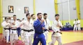 لیست اعضای تیم ملی جودو جوانان و بزرگسالان اعلام شد